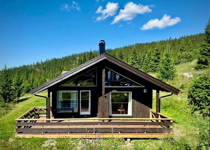 New Large With Sauna In Hafjell *
